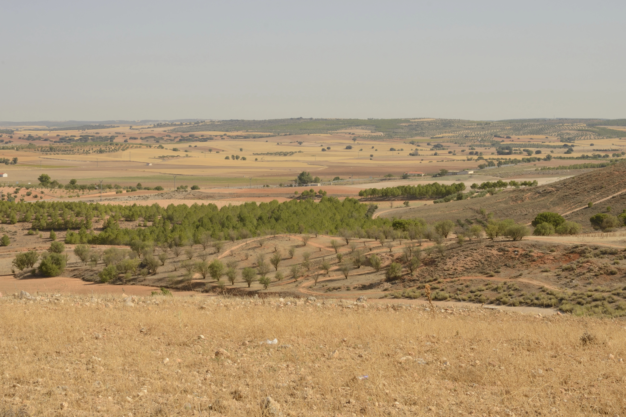 ola de calor cuenca