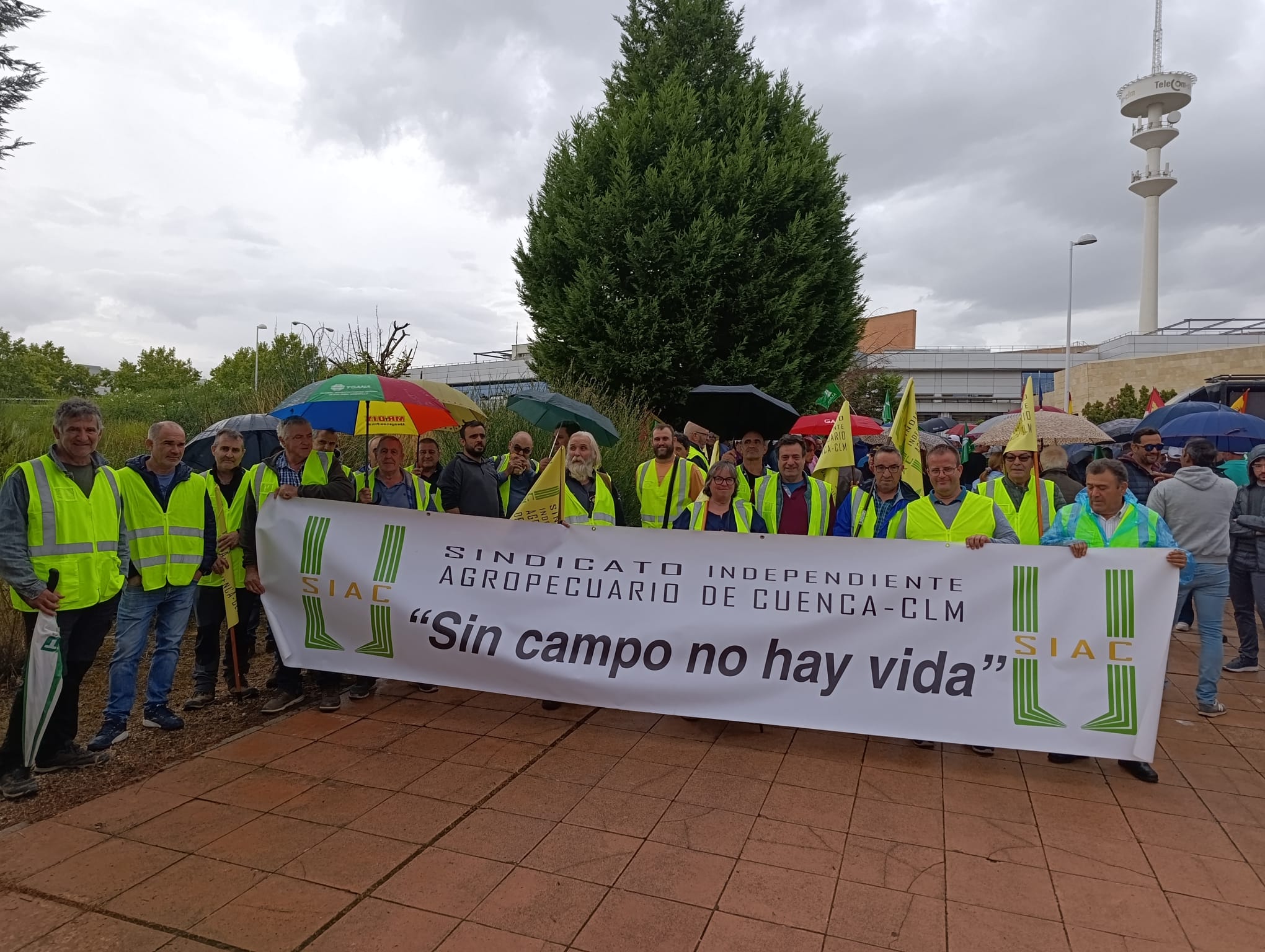manifestación Toledo